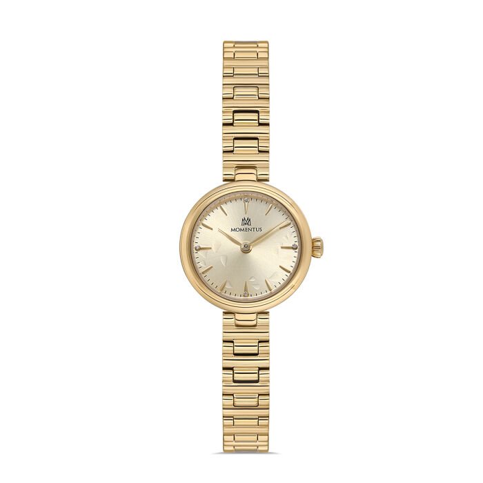 MOMENTUS CW313G-08SG