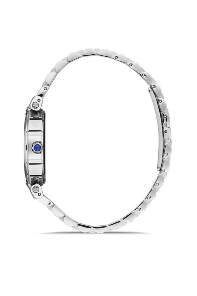 Momentus Cs381s-02sr Kadın Kol Saati