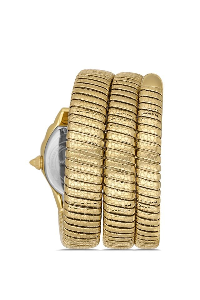 MOMENTUS SS260G-08SG