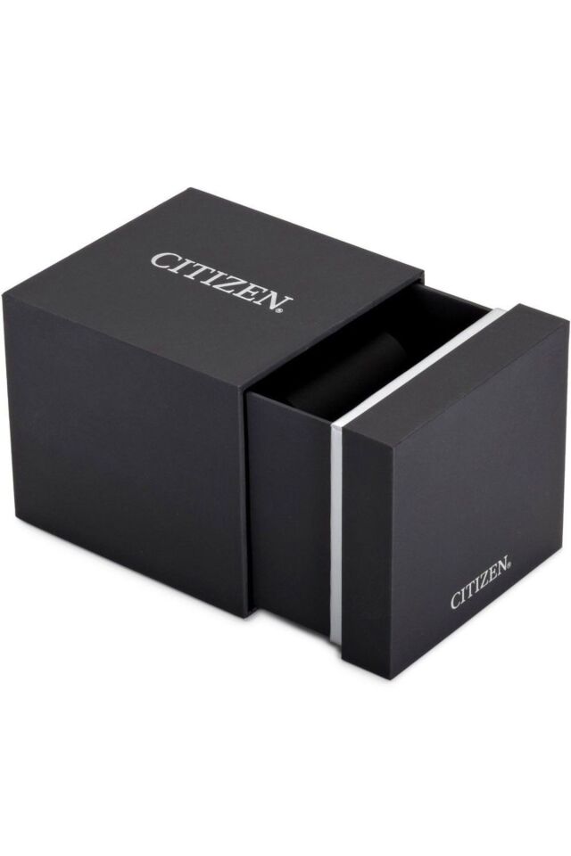 CITIZEN NH8400-87EE