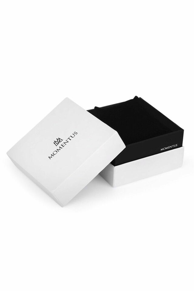 MOMENTUS SW134T-09SG