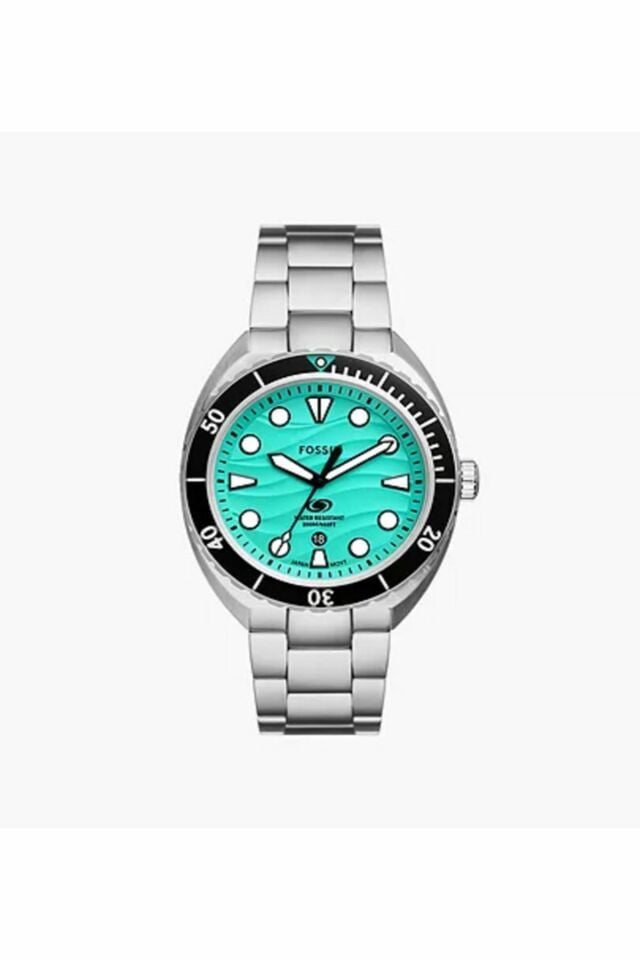 FOSSIL FFS6066