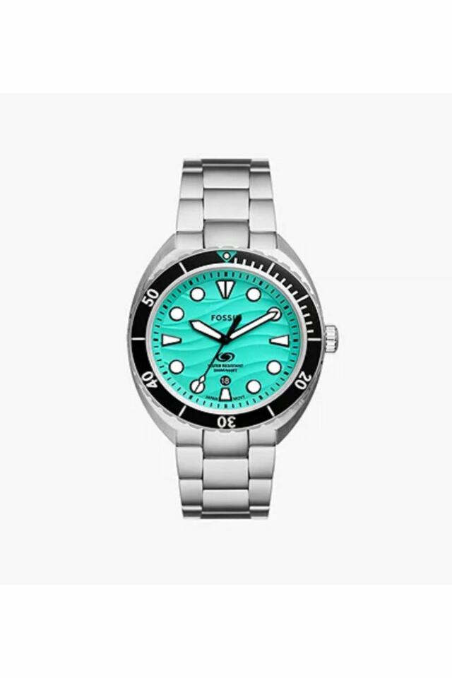 FOSSIL FFS6066