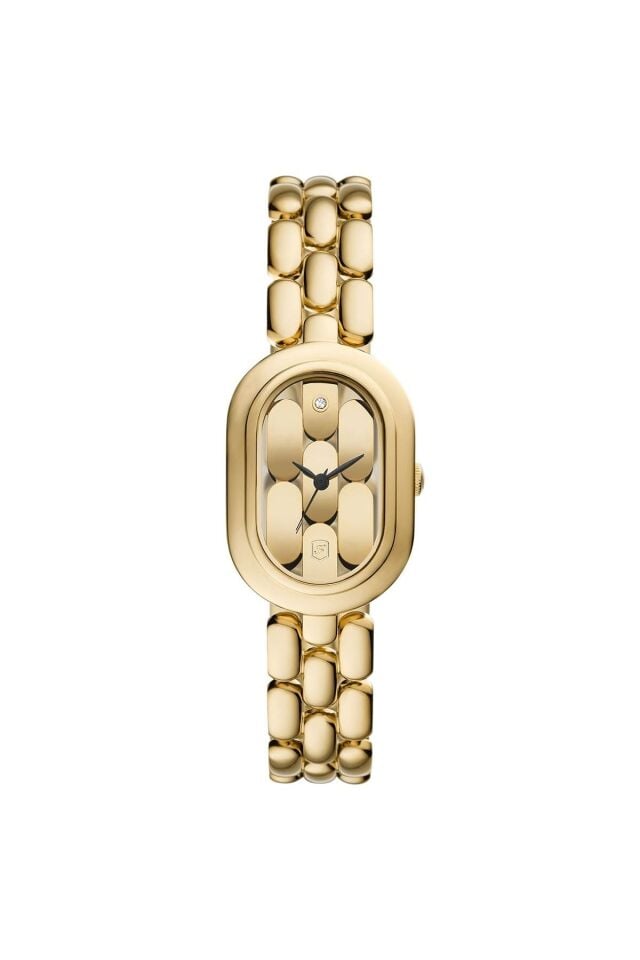 FOSSIL FES5380