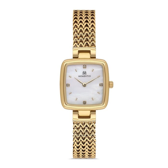 MOMENTUS SS397G-09SG