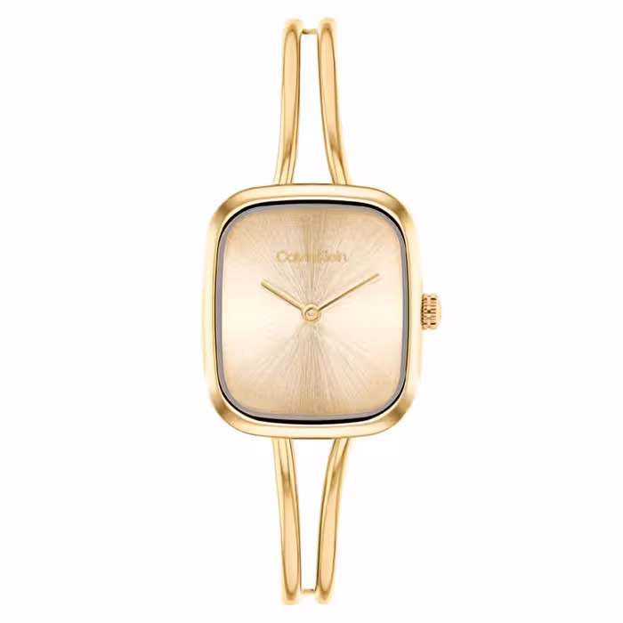CALVIN KLEIN CK25100132