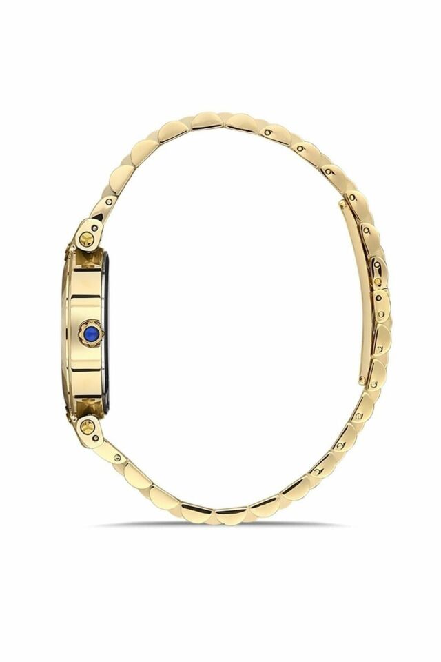 MOMENTUS CS381G-02SG