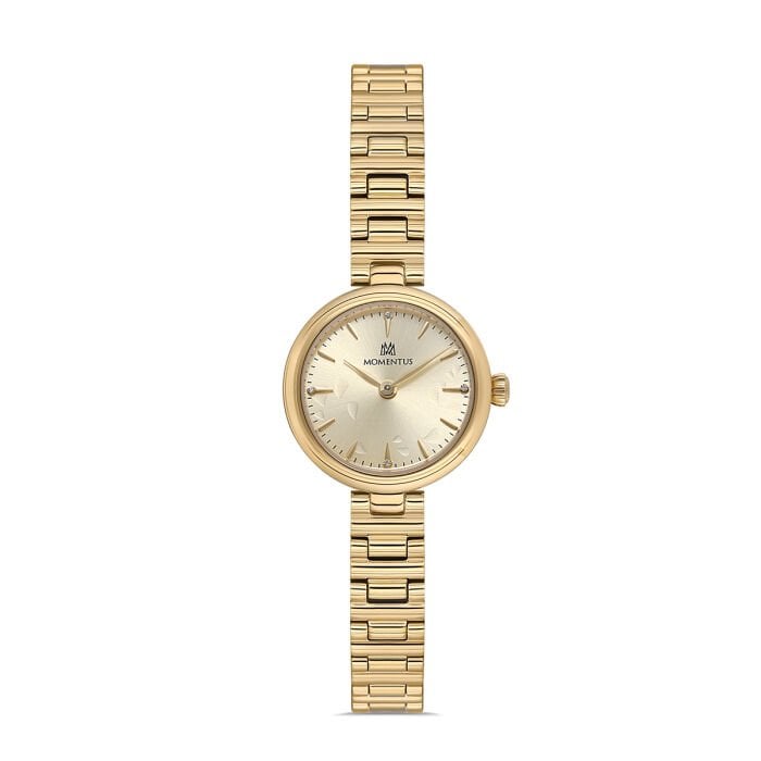 MOMENTUS CW313G-08SG