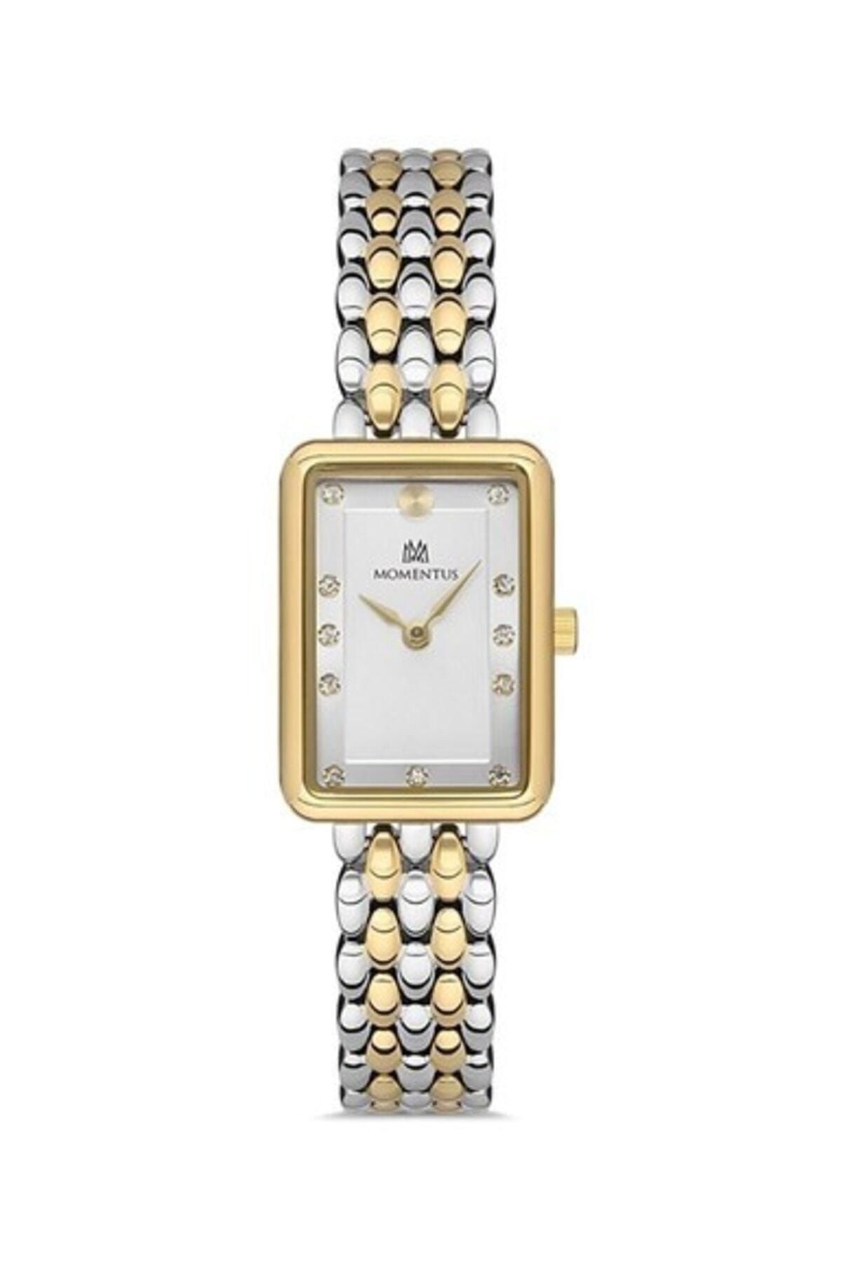 MOMENTUS SW273T-02SG