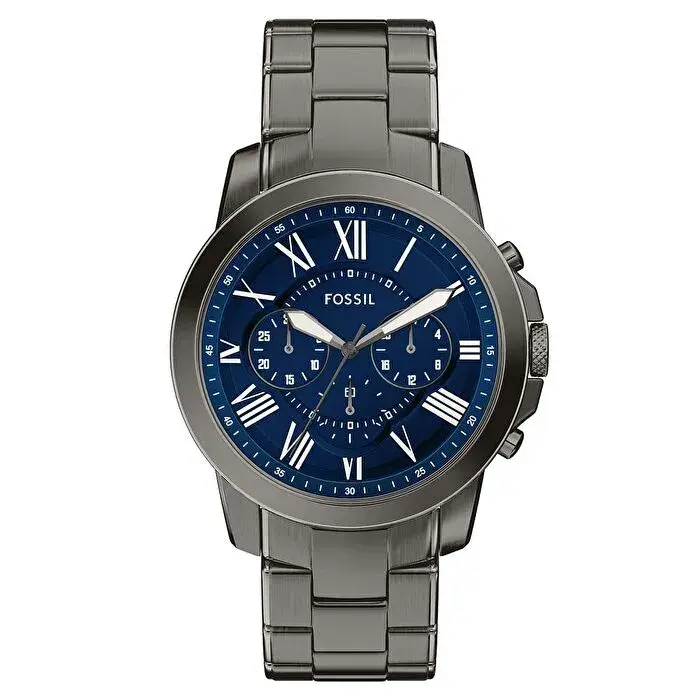 FOSSIL FFS6133