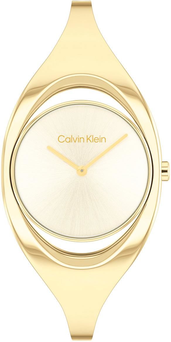 CALVIN KLEIN CK25200422