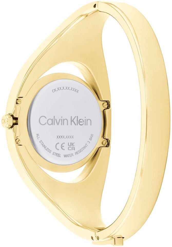 CALVIN KLEIN CK25200422