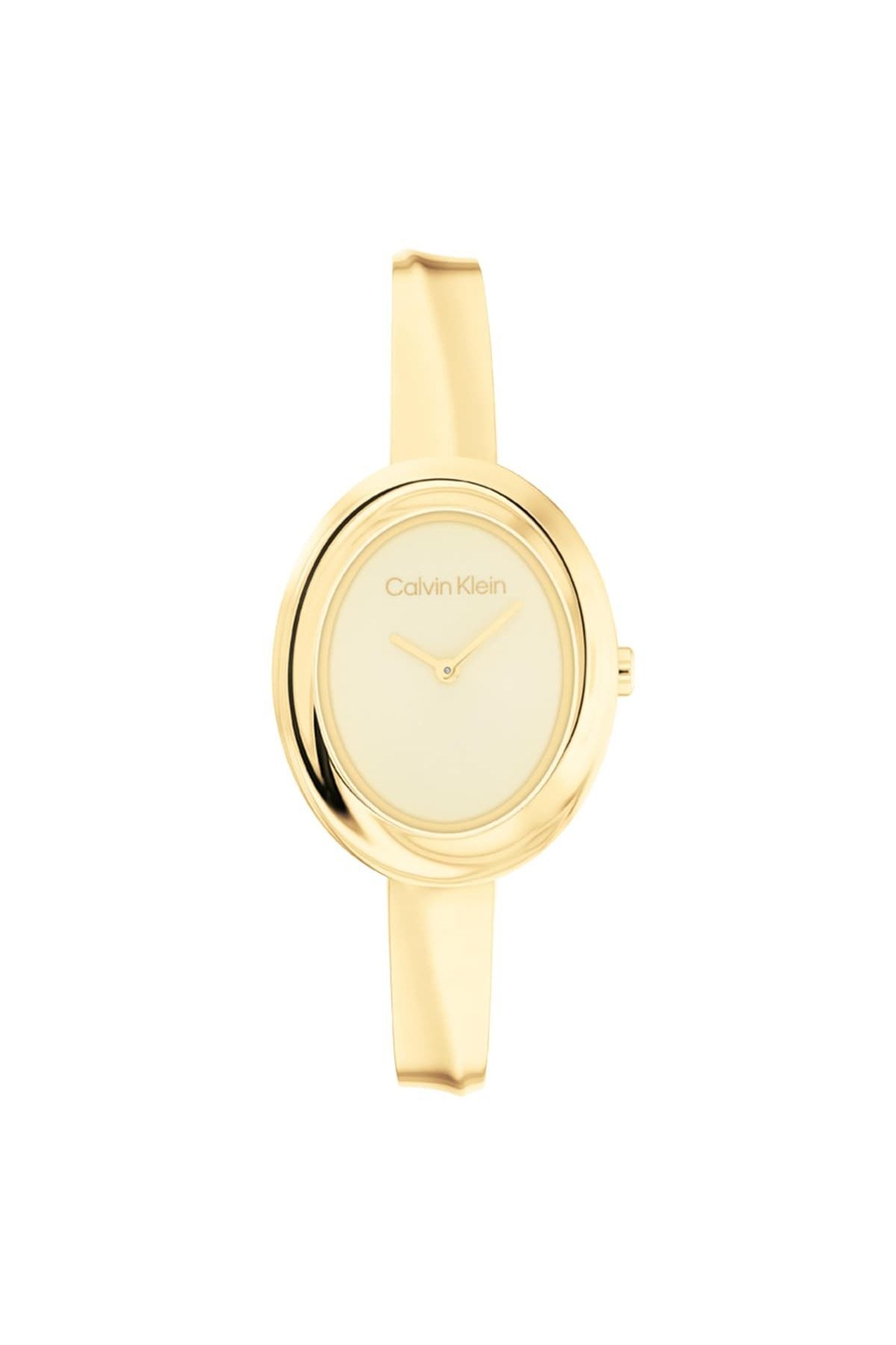 CALVIN KLEIN CK25100056