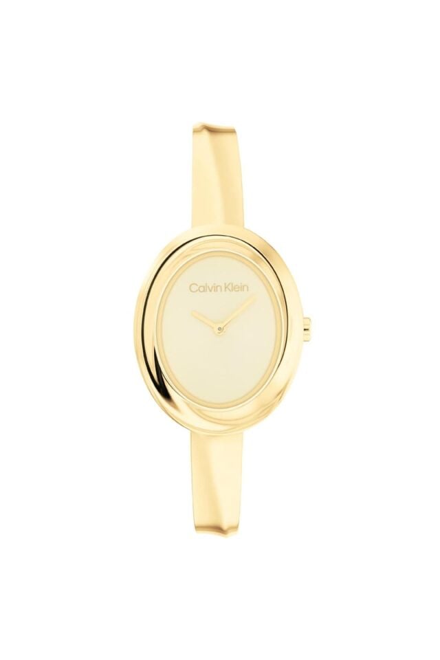 CALVIN KLEIN CK25100056 KADIN KOL SAATİ