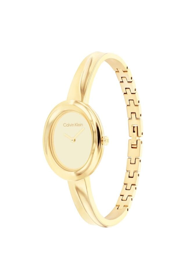 CALVIN KLEIN CK25100056 KADIN KOL SAATİ