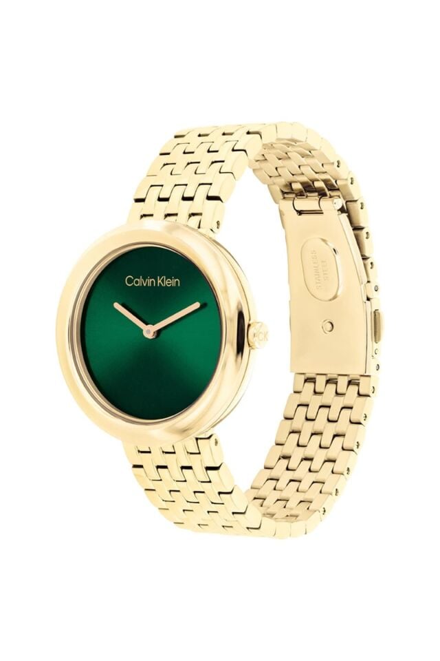 CALVIN KLEIN CK25100066