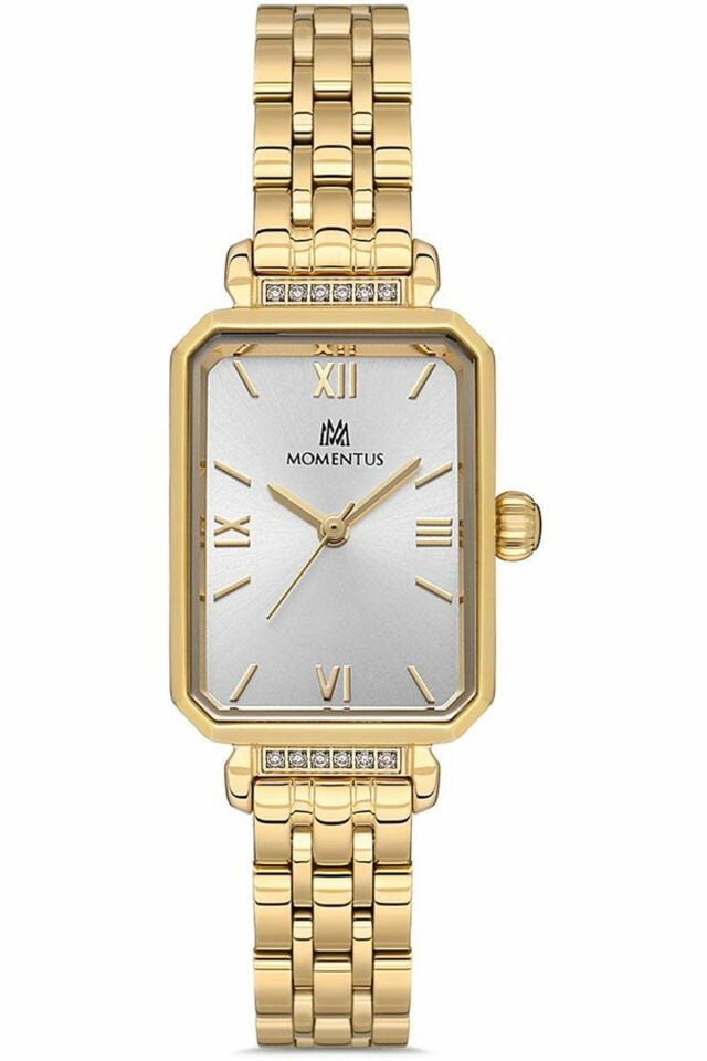 MOMENTUS SS223G-02SG