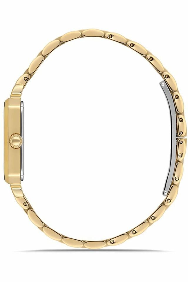 MOMENTUS SS223G-02SG